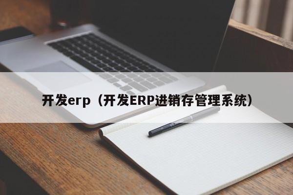 开发erp（开发ERP进销存管理系统）