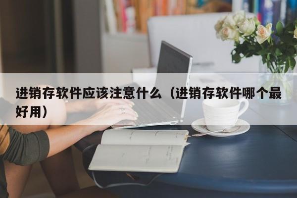 进销存软件应该注意什么（进销存软件哪个最好用）