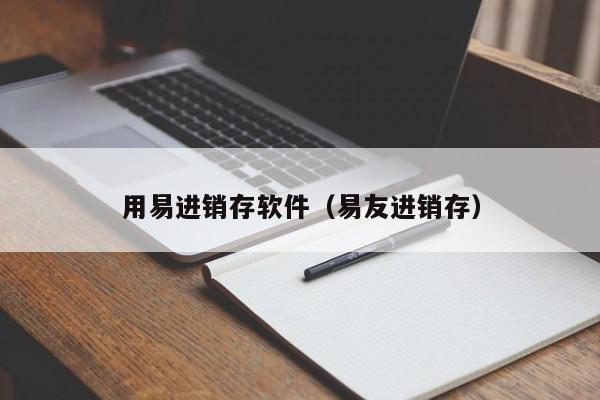 用易进销存软件（易友进销存）