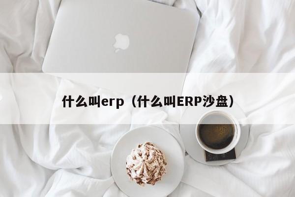 什么叫erp（什么叫ERP沙盘）