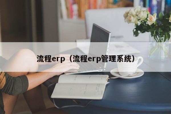 流程erp（流程erp管理系统）