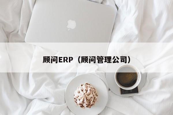 顾问ERP（顾问管理公司）