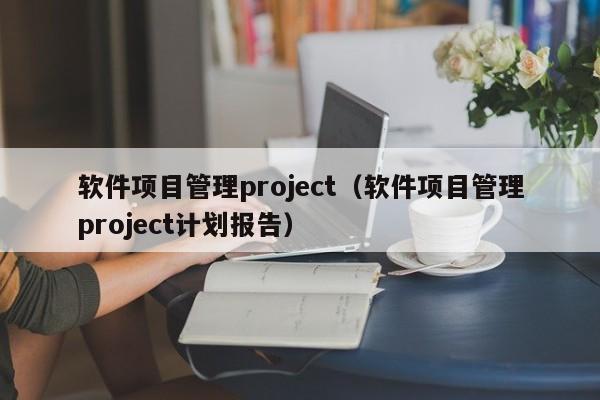 软件项目管理project（软件项目管理project计划报告）