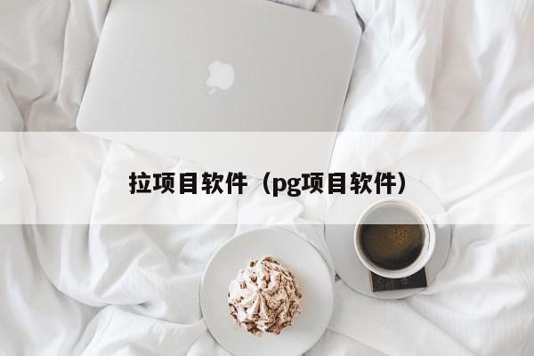 拉项目软件（pg项目软件）