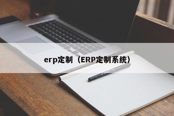 erp定制（ERP定制系统）