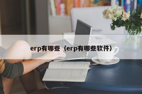 erp有哪些（erp有哪些软件）