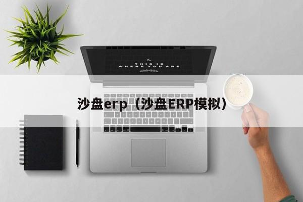 沙盘erp（沙盘ERP模拟）