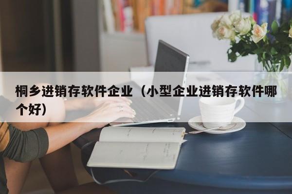 桐乡进销存软件企业（小型企业进销存软件哪个好）