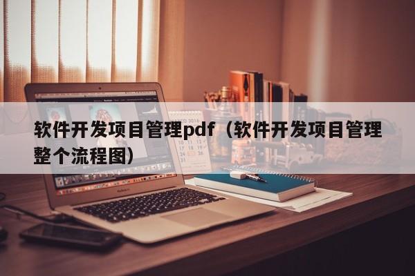 软件开发项目管理pdf（软件开发项目管理整个流程图）