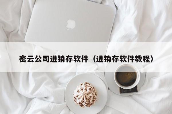 密云公司进销存软件（进销存软件教程）