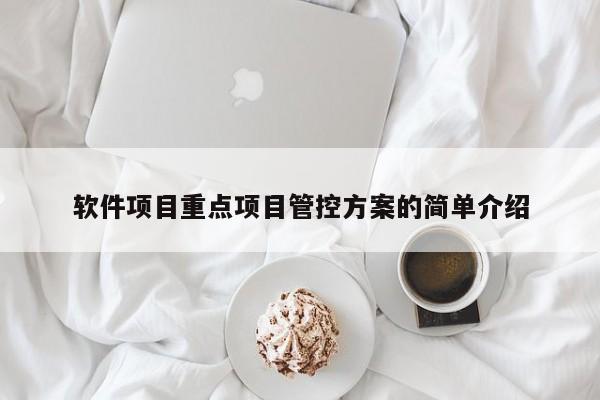 软件项目重点项目管控方案的简单介绍