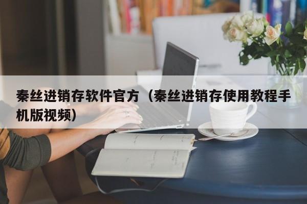 秦丝进销存软件官方（秦丝进销存使用教程手机版视频）