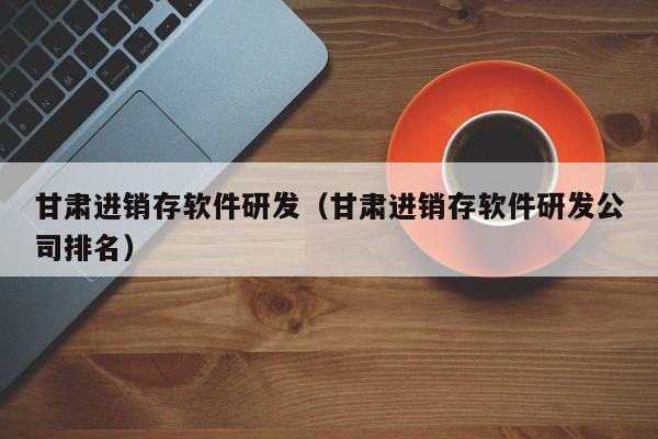 甘肃进销存软件研发（甘肃进销存软件研发公司排名）