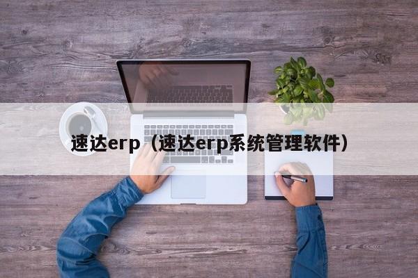 速达erp（速达erp系统管理软件）