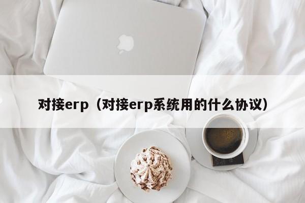 对接erp（对接erp系统用的什么协议）