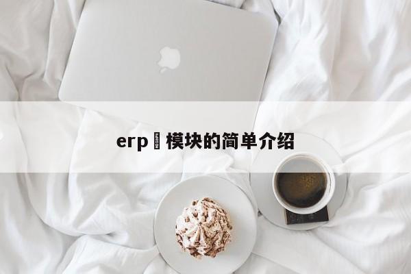 erp 模块的简单介绍