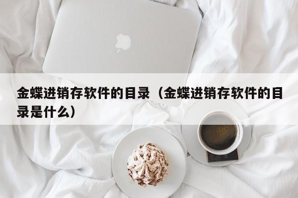 金蝶进销存软件的目录（金蝶进销存软件的目录是什么）