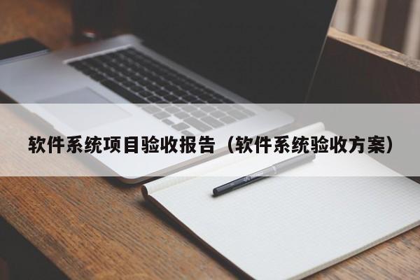 软件系统项目验收报告（软件系统验收方案）