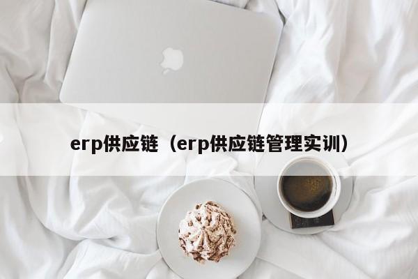 erp供应链（erp供应链管理实训）