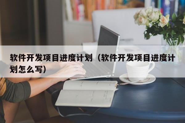 软件开发项目进度计划（软件开发项目进度计划怎么写）