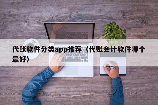 代账软件分类app推荐（代账会计软件哪个最好）