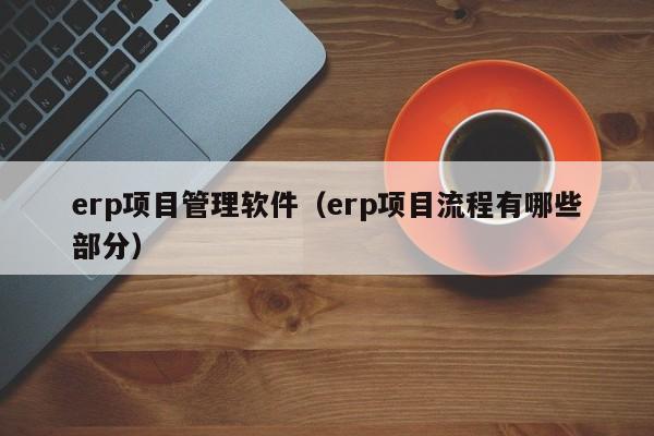 erp项目管理软件（erp项目流程有哪些部分）