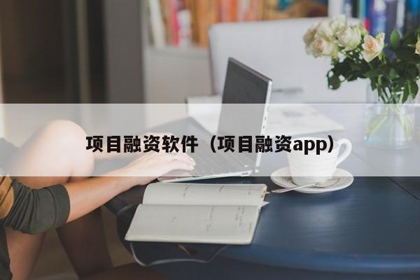 项目融资软件（项目融资app）