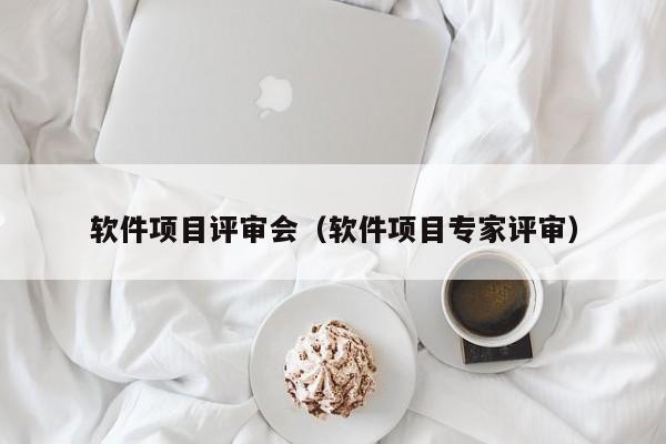 软件项目评审会（软件项目专家评审）