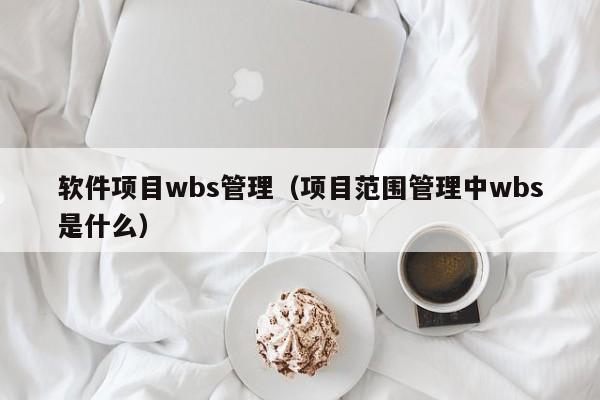 软件项目wbs管理（项目范围管理中wbs是什么）