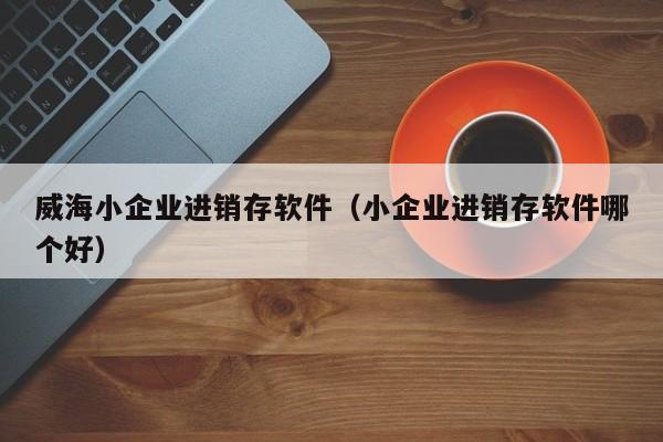 威海小企业进销存软件（小企业进销存软件哪个好）