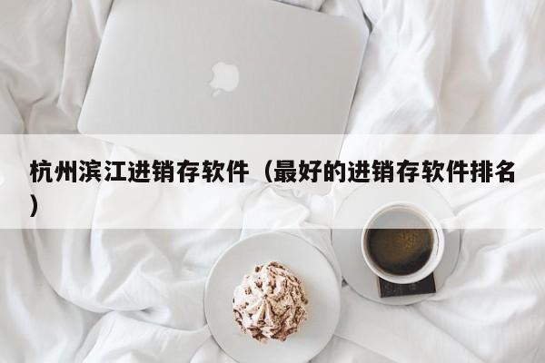 杭州滨江进销存软件（最好的进销存软件排名）