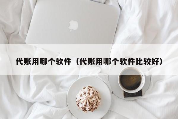 代账用哪个软件（代账用哪个软件比较好）