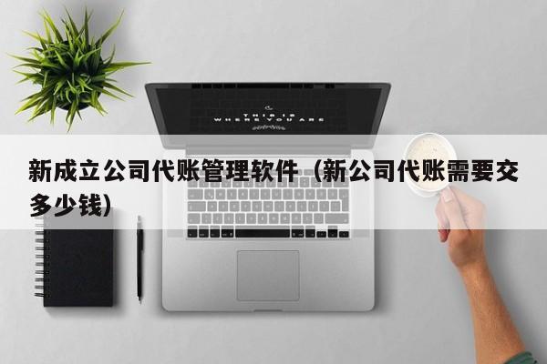 新成立公司代账管理软件（新公司代账需要交多少钱）