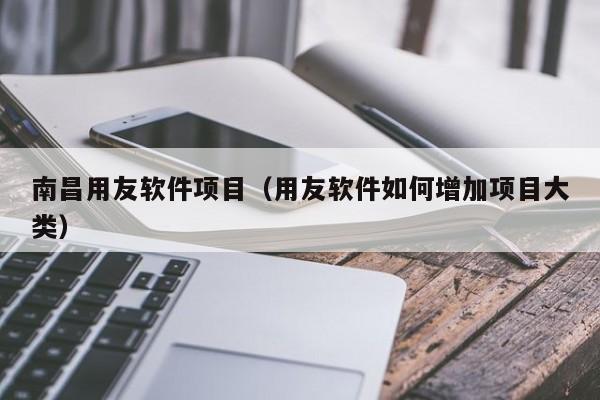 南昌用友软件项目（用友软件如何增加项目大类）