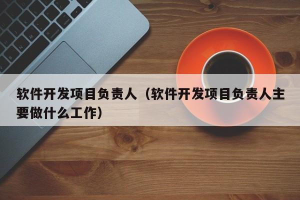 软件开发项目负责人（软件开发项目负责人主要做什么工作）