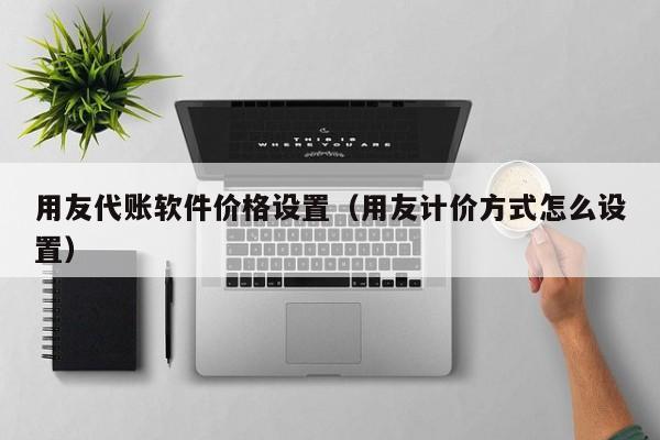 用友代账软件价格设置（用友计价方式怎么设置）