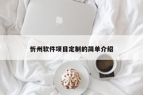 忻州软件项目定制的简单介绍