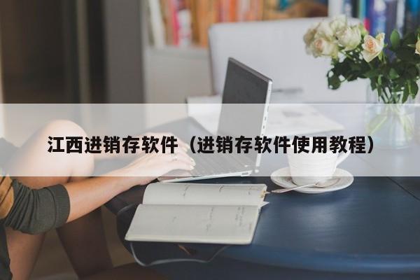 江西进销存软件（进销存软件使用教程）