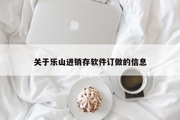 关于乐山进销存软件订做的信息