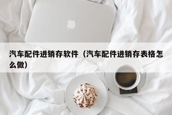 汽车配件进销存软件（汽车配件进销存表格怎么做）