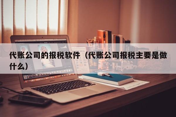 代账公司的报税软件（代账公司报税主要是做什么）