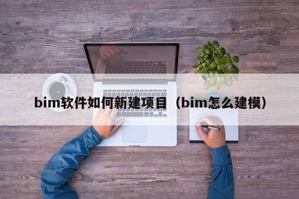 bim软件如何新建项目（bim怎么建模）