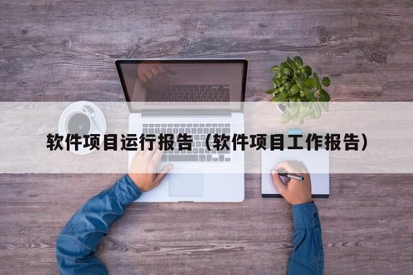 软件项目运行报告（软件项目工作报告）