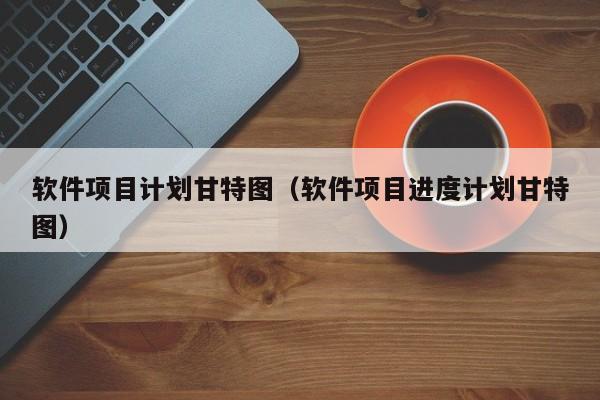 软件项目计划甘特图（软件项目进度计划甘特图）