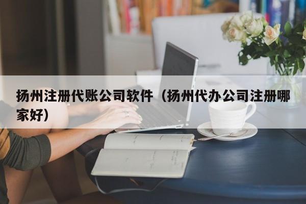 扬州注册代账公司软件（扬州代办公司注册哪家好）