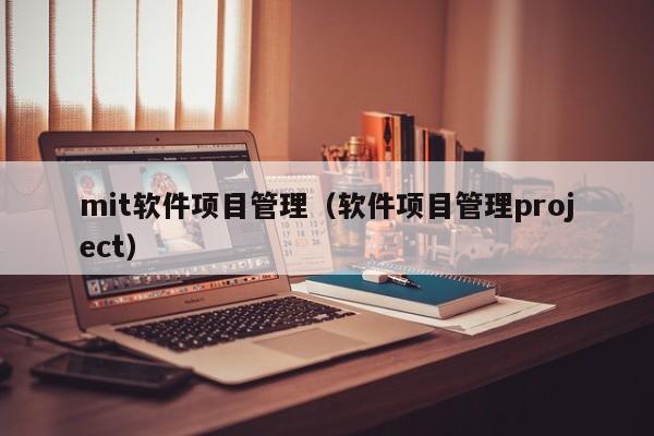 mit软件项目管理（软件项目管理project）