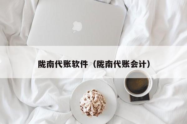 陇南代账软件（陇南代账会计）