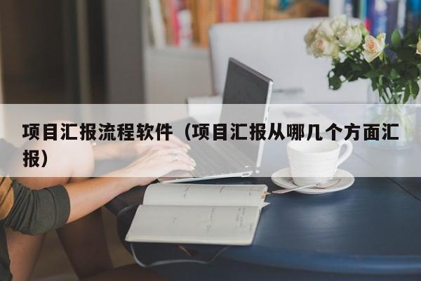 项目汇报流程软件（项目汇报从哪几个方面汇报）