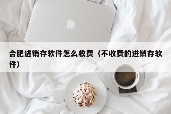 合肥进销存软件怎么收费（不收费的进销存软件）