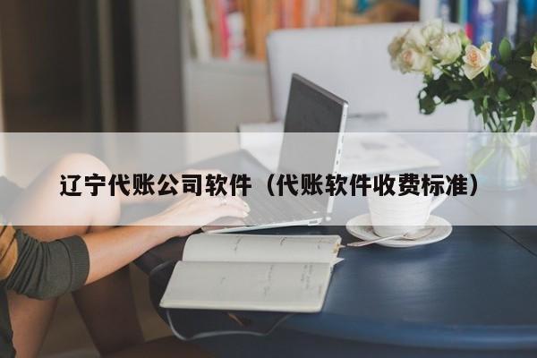 辽宁代账公司软件（代账软件收费标准）